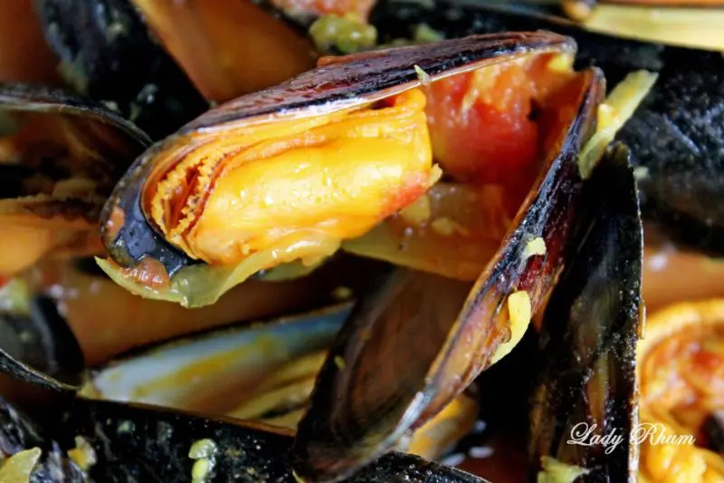 Cari Moules Cari Moules
