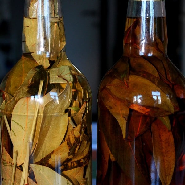 Bouteilles de rhum arrangé